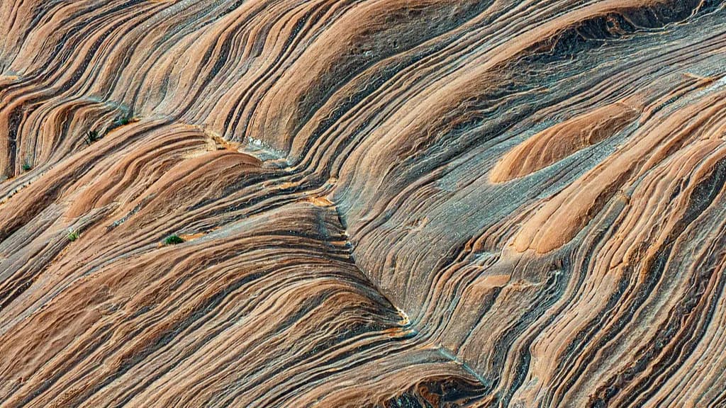 name